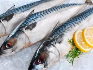 Ikan Segar Beku